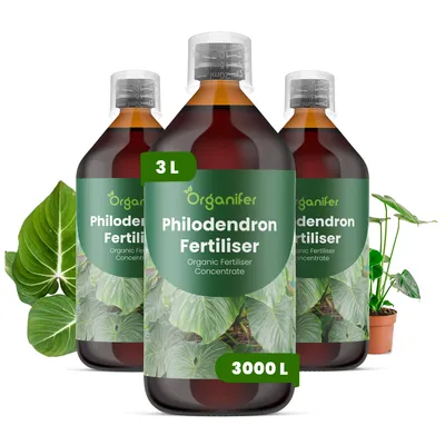 Produktbild von Philodendren Flüssigdünger 3x1L – 2-1-8 NPK – Flüssig-Pflanzendünger für Philodendren – Organifer