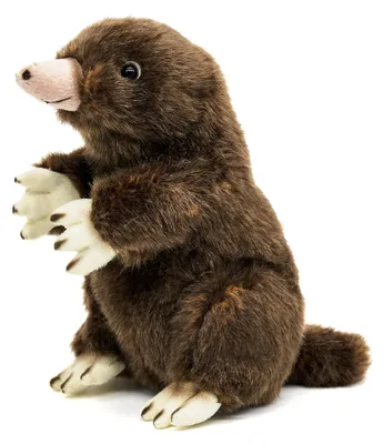 Produktbild von Uni-Toys - Maulwurf - 19 cm (Höhe) - Plüschtier, Kuscheltier