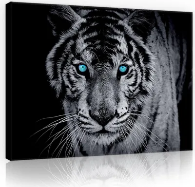 Produktbild von Leinwandbild Tiger Tiere Schwarz 100x70 cm XXL Schlafzimmer Wohnzimmer Canvas Bilder Wandbilder Kunstdruck Wand Bild auf Leinwand Aufhängefertig