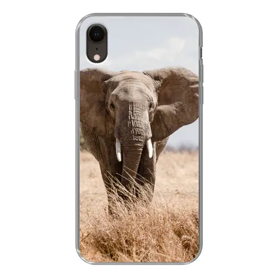 Produktbild von MuchoWow® Handyhülle Schutzhülle Hülle für iPhone XR Elefant - Natur - Tiere - Porträt Silikon Softcase Handy Hülle - Schutzdeckel