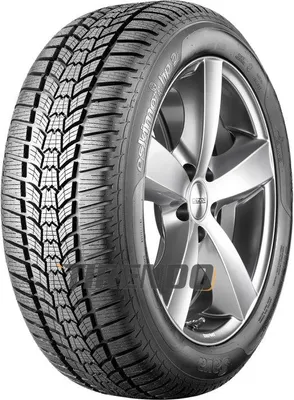 Image de Sava Wi car-tyres Eskimo HP2 ( 225/40 R18 92V XL, avec protège-jante (MFS) )