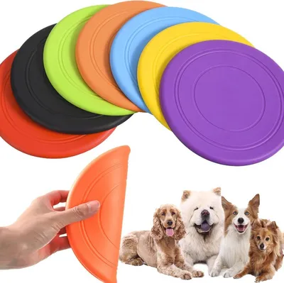 Frisbee, Hauptbild