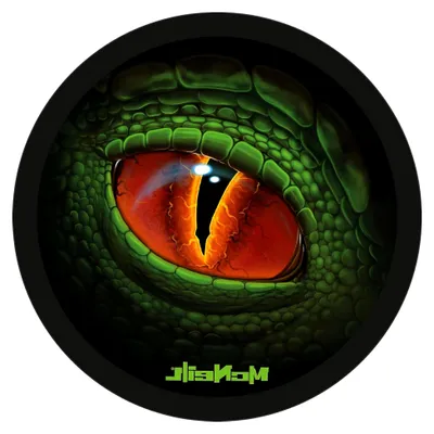 Produktbild von McAddy Motivmagnet Wildtiere Augen