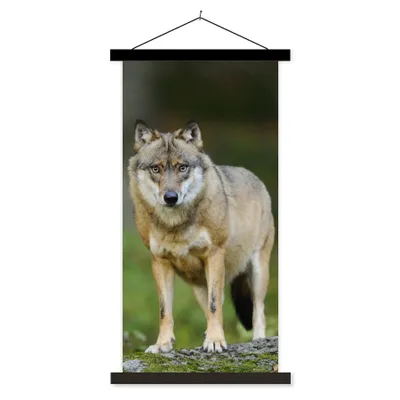 Produktbild von MuchoWow® Textilposter Wolf - Asien - Pflanzen 90x180 cm mit schwarzem Rahmen - Dekoration Wohnzimmer