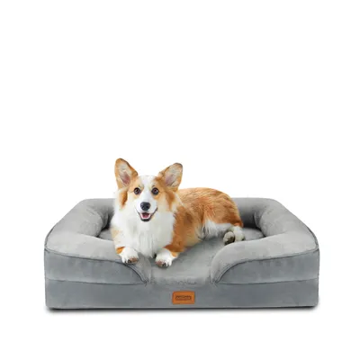 A corgi dog is lying on a gray dog bed against a white background.