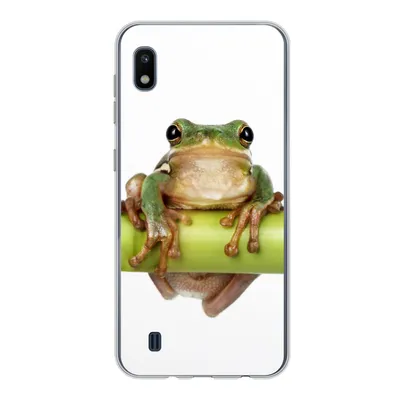 Produktbild von MuchoWow® Handyhülle Schutzhülle Hülle für Samsung Galaxy A10 Frosch - Bambus - Weiß Silikon Softcase Handy Hülle - Schutzhülle