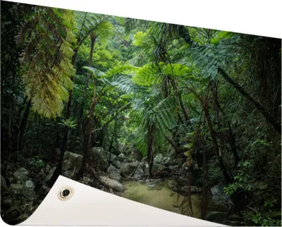 Produktbild von Gartenposter - 120x80 cm - Fluss im tropischen Dschungel  - Modernes Wandbilder - Natur