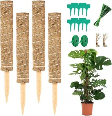 Produktbild von Famanu Pflanzenständer Set von 4 Stück, 40 cm hohe Moosstäbe für Kletterpflanzen, ideal für Monstera und andere Zimmerpflanzen