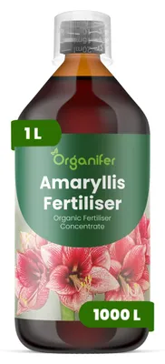 Zdjęcie produktu dla Płynny nawóz Amaryllis 1 l – 3-4-3 NPK – Płynny nawóz do roślin kwitnących – Zapewnia duże kwiaty i mocne cebulki – Wspomaga rozwój korzeni i witalność – Organifer