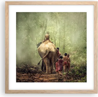 Produktbild von Gerahmtes Poster - Rahmen in heller Eiche - Elefant Dschungel Nebel - 40x40 cm - Wand Bild - Wanddeko - Wandbilder - Wandposter - Bilderrahmen - Bilder - Kunstdruck - Wandbild - P2NAC40x40-3438