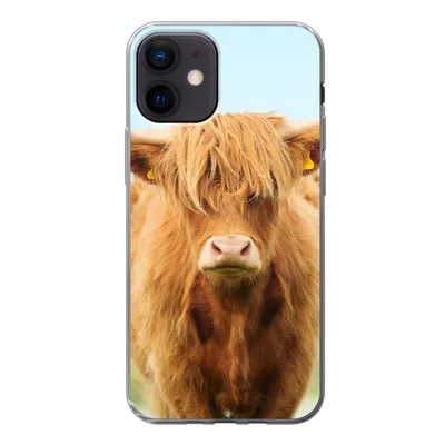 Produktbild von MuchoWow® Handyhülle Schutzhülle Hülle für iPhone 12 Schottischer Highlander - Haare - Gras Silikon Softcase Handy Hülle - Schutzhülle