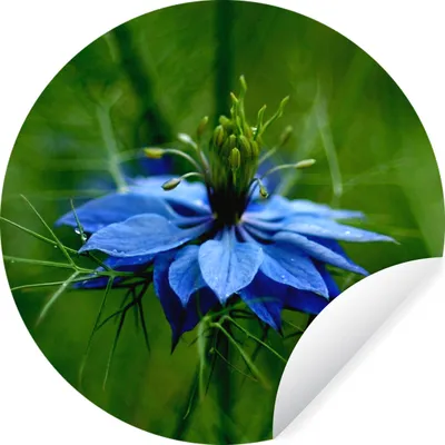 Produktbild von MuchoWow® - Wandbild - Fototapete - Selbstklebend - Dekoration - Wandschmuck - Schlafzimmer