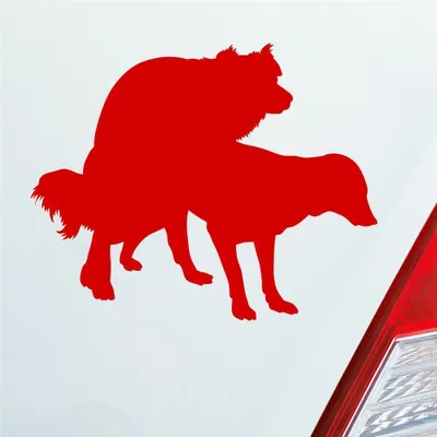 Produktbild von Auto Aufkleber Hunde decken Spaß Liebe Paaren Dog 12,5x10 cm Rot Sticker Heckscheibenaufkleber