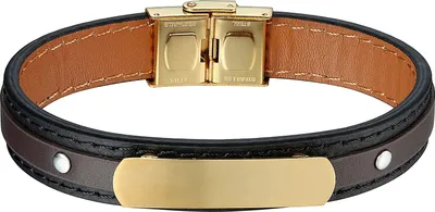Produktbild von Karisma Männer Braunes und Schwarzes Lederarmband Edelstahl Plate Ideal zum Eingravieren Farbwahl Länge 21cm - Gold