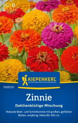 Produktbild von Kiepenkerl Zinniensamen Dahlienblütige 50 Pflanzen