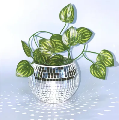 Image de Qiumyanlod boule disco pot de fleurs argent verre disco boule pot de plantes 10*12*12 cm