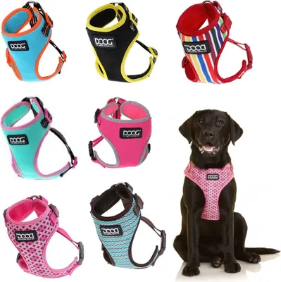 Produktbild von DOOG Neon Harness Geschirr, Größe:50-70 cm, Farbe:pink / grey