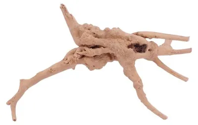 Produktbild von M Moorkienwurzel Nr.4384 Holz Deko Aquascaping