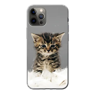 Produktbild von MuchoWow® Handyhülle Schutzhülle Hülle für iPhone 12 Pro Katze - Kätzchen - Federn Silikon Softcase Handy Hülle - Abdeckung