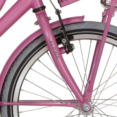Produktbild von Alpina Fork 22 Fracht M Fuchsia Pink mit Matt