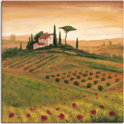 Produktbild von ARTland Leinwandbild Toskanalandschaft mit Mohnblumen I Größe: 70x70 cm