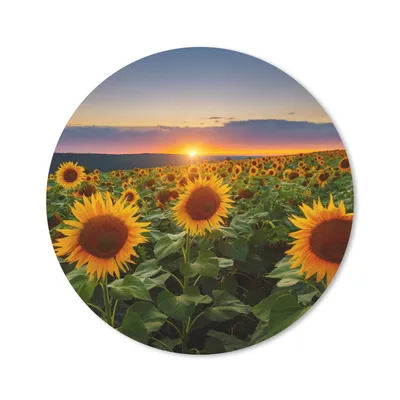 Produktbild von MuchoWow® Mauspad Mousepad Blumen - Nacht - Sonnenuntergang - Sonnenblume - Horizont 20x20 cm - Mousepads - Maus Mat - Pad - Mausunterlage - Schreibtischmatte