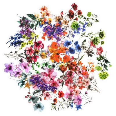 50 transparente Blumenaufkleber für Scrapbooking, PET, 4–6 cm