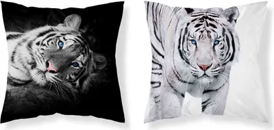 Produktbild von Kissenbezug 40x40 Weißer Tiger Mikrofaser