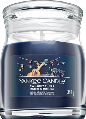 Image de Yankee Candle Twilight Tunes 368 g