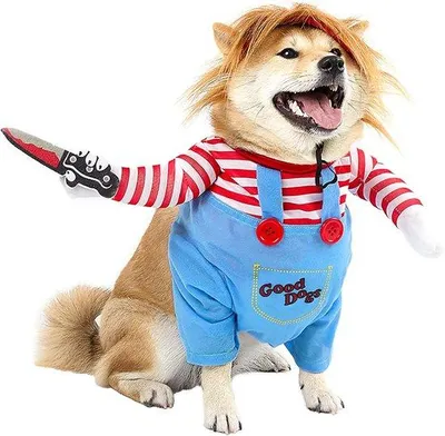 Produktbild von Halloween Kostüme für Hunde - niedliches Rollstuhlpuppen Outfit - bequem und atmungsaktiv - perfekt für Partys - ShopFlot