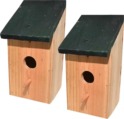 Obrázok produktu pre Drevená vtáčia búdka pre malé vtáky, ako sú dážďovníky a vrabce - Aries© 2 X - Kŕmidlo pre vtáky