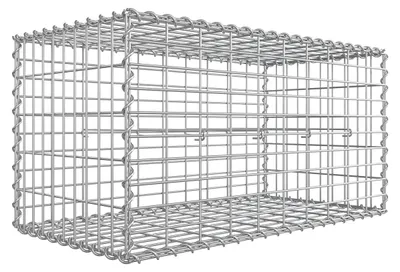 Immagine prodotto di Gabione - Cesto in pietra - Gabbia per pietre - Acciaio zincato - Resistente alla corrosione - 100 x 50 x 50 cm