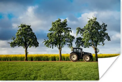 Produktbild von MuchoWow® Poster Traktor - Baum - Blumen 30x20 cm - Plakate - Print