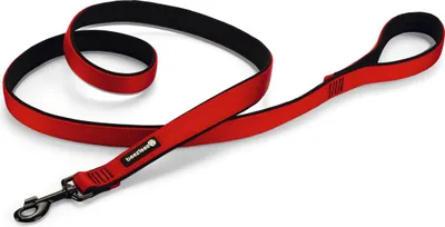Produktbild von Beeztees Parinca Premium - Hundeleine - Nylon - rot - 180 cm x 25 mm