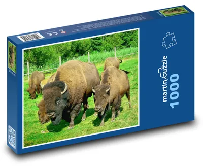 Produktbild von Puzzle 1000 Bisonfamilie auf der Wiese - martinpuzzle