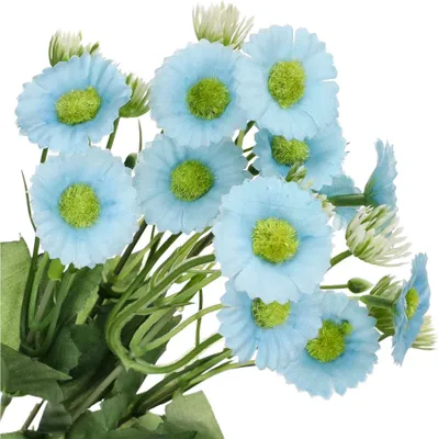 Produktbild von Dekolo Künstliche Blumensträuße Dekoration Zierpflanzen Gänseblümchen Blumenstrauß Himmelblau 30cm