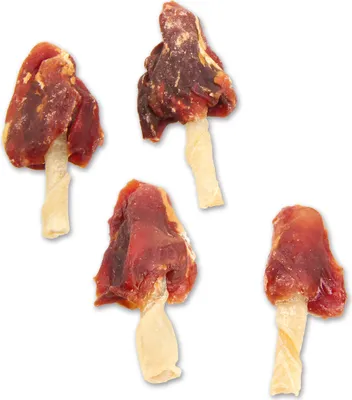 Produktbild von 100g Hundesnack - Entenbrust Flags - Entenbrust auf Büffelhautstange