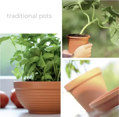A collage of images showing traditional terracotta pots with plants.