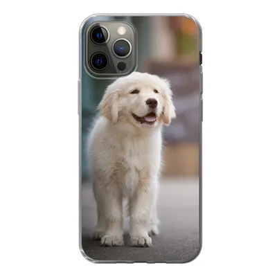 Produktbild von MuchoWow® Handyhülle Schutzhülle Hülle für iPhone 13 Pro Ein Golden Retriever Welpe läuft auf dem Bürgersteig Silikon Softcase Handy Hülle - Handy-Tasche