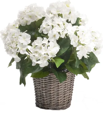 Produktbild von Emerald Künstliche Hortensie - Lenny | 45 cm, inkl. Dekotopf, für drinnen, Kunstblume, wie echt, Allergiker geeignet, pflanzliche Dekoration Praxis, Office & Wohnzimmer