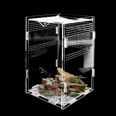 Productafbeelding van Acryl Terrarium voor Reptielen en Kleine Dieren 12x12x20 cm