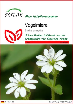 Produktbild von SAFLAX  - Vogelmiere - Stellaria media - 1000 Samen