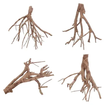 Produktbild von Talawa Wurzel L 35-50 cm