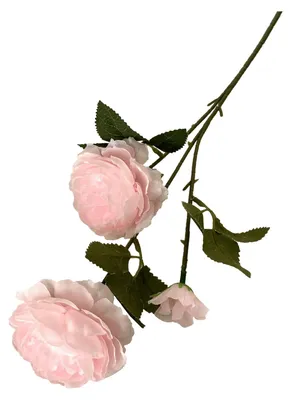 Produktbild von Künstliche Seidenpfingstrose für die Vase, 63,5 cm lange künstliche Pfingstrosenzweige mit 2 Blüten und 1 Knospe, ideal für DIY-Brautsträuße, Brautpartys oder Tischdekorationen.