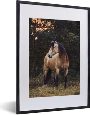 Produktbild von MuchoWow® MuchoWow® Gerahmtes Poster Pferd - Braun - Gras 30x40 cm - Poster mit zchwarzem Bilderrahmen - Wandposter Schlafzimmer