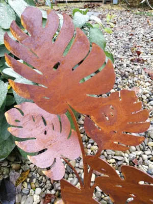 Produktbild von Edelrost Philodendron auf Platte