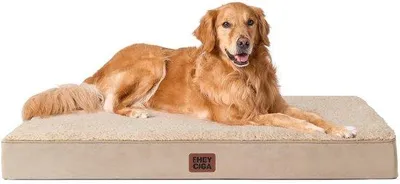 Image de Lit orthopédique pour grands chiens XL, 112 x 81 x 9 cm, coussin moelleux lavable, matelas pour canapé, kaki