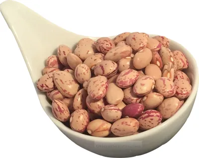 Produktbild von Khanuma Khanuma- Wachtelbohnen 500gr