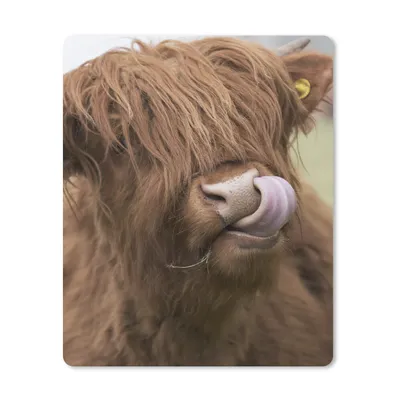 Produktbild von MuchoWow® Mauspad Mousepad Schottischer Highlander - Braun - Kuh 19x23 cm - Mousepads - Maus Mat - Pad - Mausunterlage - Mauspads - Spielen