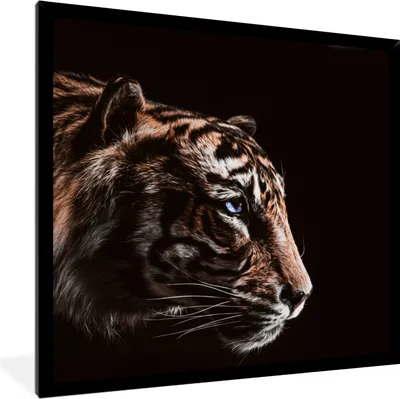Produktbild von MuchoWow® MuchoWow® Gerahmtes Poster Tiger - Tiere - Schwarz 40x40 cm - Poster mit zchwarzem Bilderrahmen - Mit Rahmen - Wanddekoration Schlafzimmer
